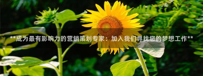 必赢官网网站首页下载