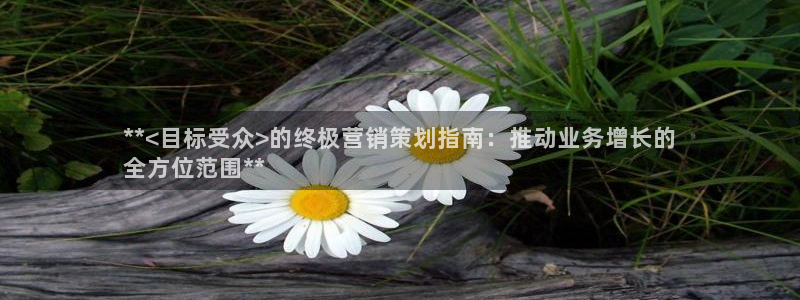 必赢国际437a