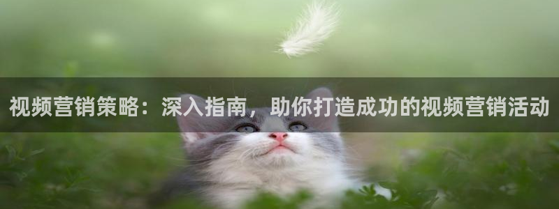 必赢棋脾9655app下载