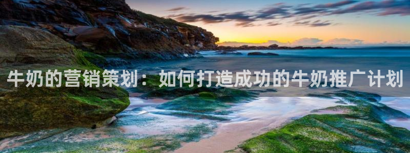 必赢平台官方：牛奶的营销策划：