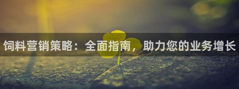 必赢下载