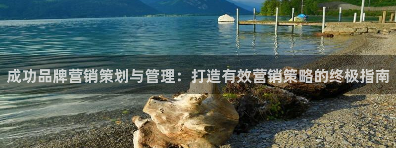 必赢线上网址：成功品牌营销策划