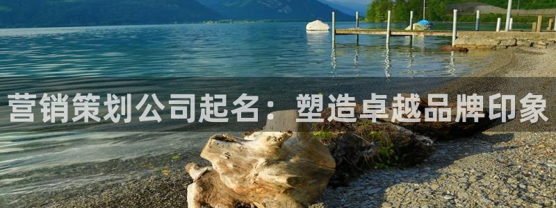 必赢88：营销策划公司起名：塑