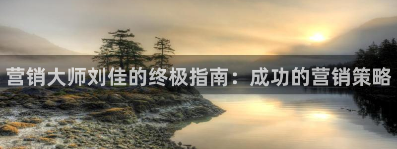 必赢客软件