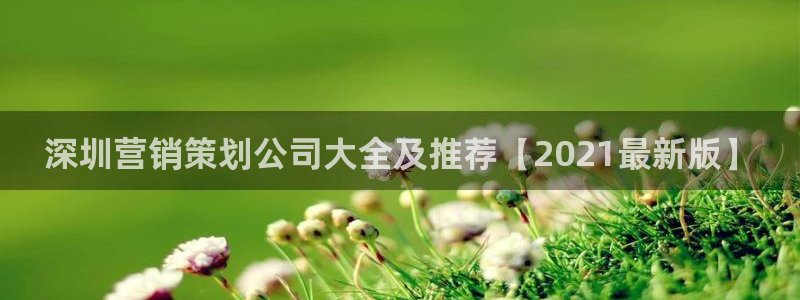 必赢平台怎么样